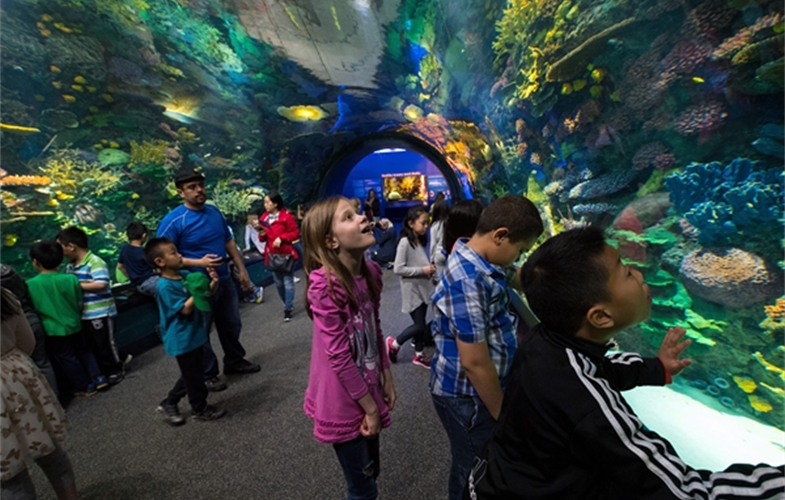 Through generous support from a variety of councilmembers and foundations, thousands of NYC schoolchildren from Title 1 schools engage in free STEM-based programming at the New York Aquarium. CREDIT: (c)Julie Larsen Maher/WCS